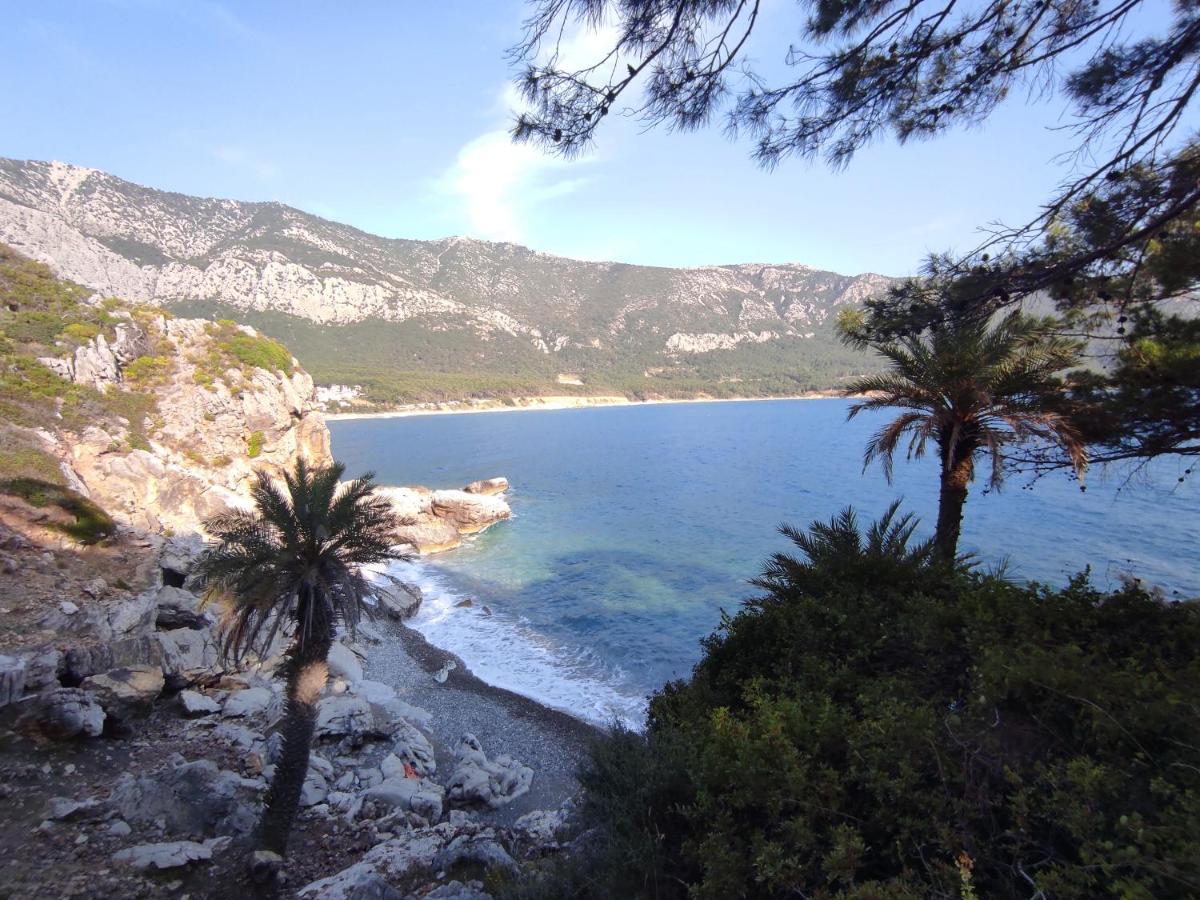 Hurmalik Apart Evleri-Very Close To The Sea Large Garden Bungalow With Barbecue And Swing Karaoz Εξωτερικό φωτογραφία
